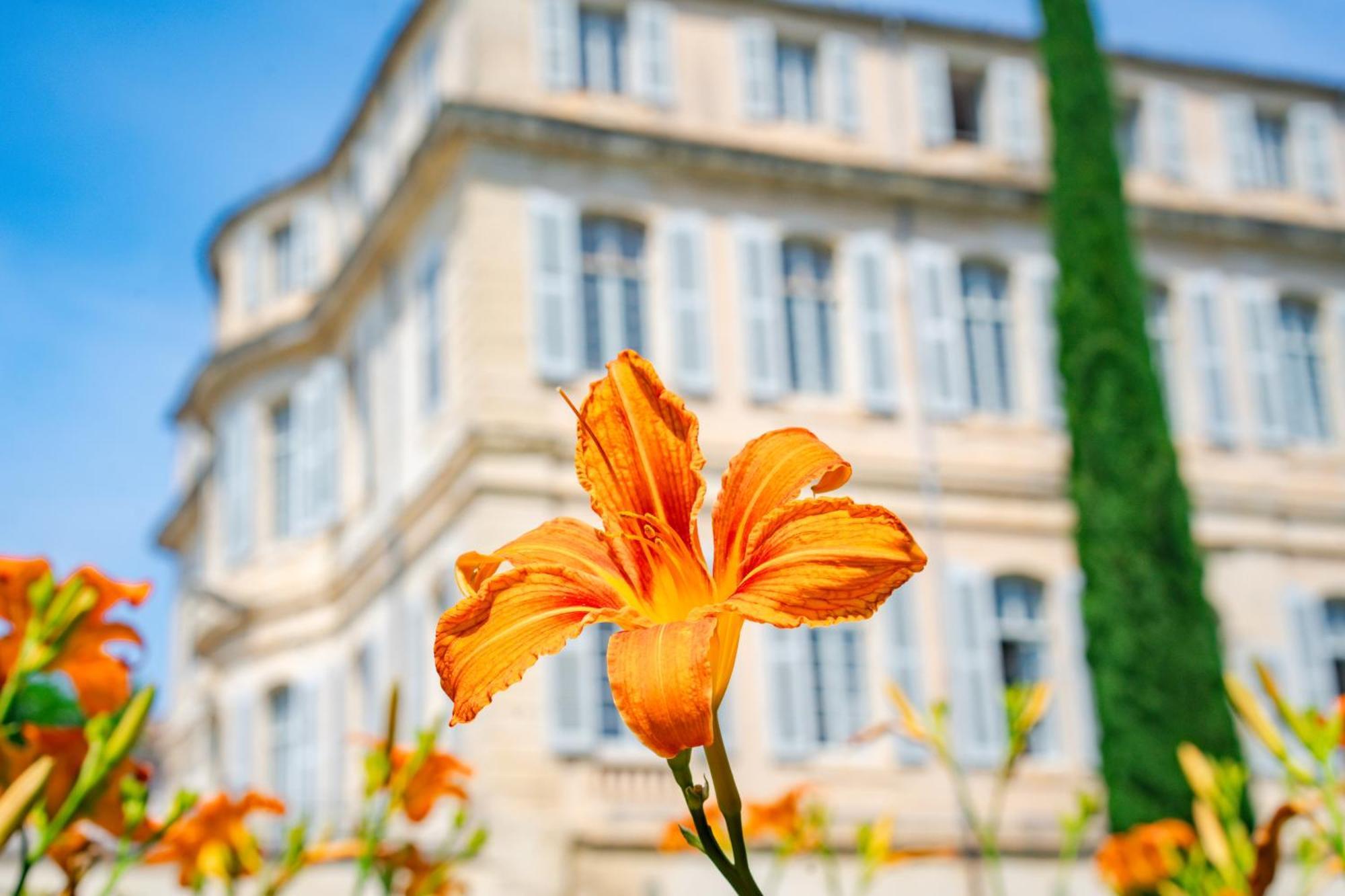 Château De Mazan, Bw Premier Collection By Western 4* Mazan